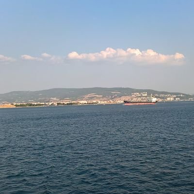 engin614's profile picture. Human / live and let live /
think for yourself / don't be a sheep