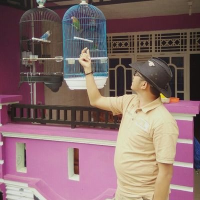 belapasya00's profile picture. Bismillahi || Go to Victory