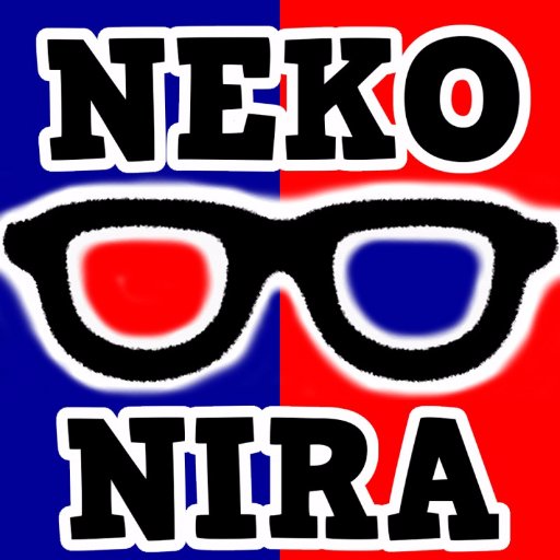 ねこにら 完璧な情報量で吹いた 笑 年ぶりくらいに攻略本を買った 日本代表選手になろう ブラジル戦はトラウマでしかない 4時間やって 30回くらいやって クリアできず ボアソルチ