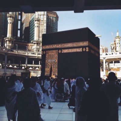 6918dc7d927847b's profile picture. 