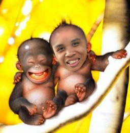 toonytoony2004's profile picture. A Friend Never Forget