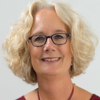 DechesneCoach's profile picture. Biedt rust, focus en vertrouwen in situaties waar iets niet klopt; verenigt belangen; waardenmanagement/Profile Dynamics/Zuid-Afrika.