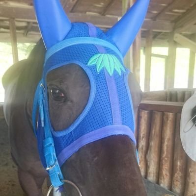 hirokasamatsu's profile picture. 笠松競馬場の調教師です。笠松競馬を盛り上げたい！もっと競馬場に足を運んでもらいたい 😄趣味も競馬（笑） 笹野厩舎所属は水野翔、渡邊竜也。厩務員募集中！未経験でもやる気があれば大丈夫👌