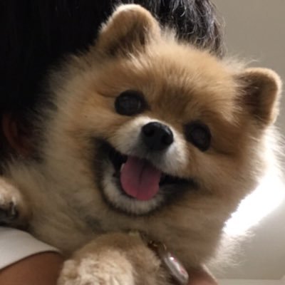 superKIZU's profile picture. 