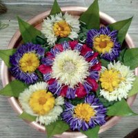 Sampada Abhyankar (@sampadaabhy) 's Twitter Profile