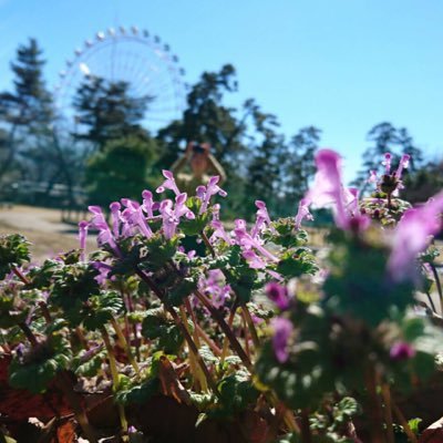 ima_saaan1's profile picture. 登山や散歩やパン作り