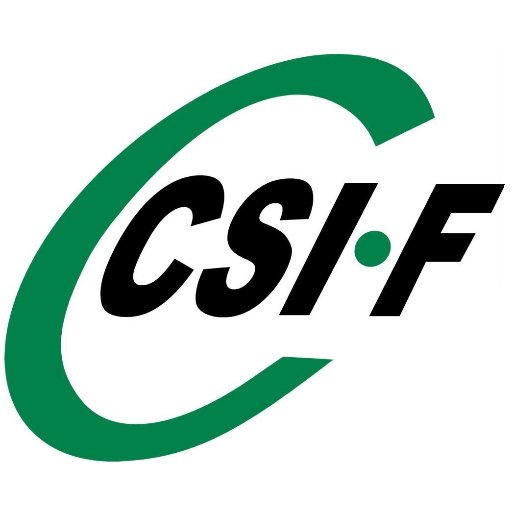 SECCIÓN SINDICAL DE CSI-F EN VOLKSWAGEN FINANCIAL SERVICES MADRID