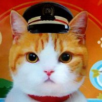 noelle (@noelle_msp) 's Twitter Profile Photo noelle (@noelle_msp) 's Twitter Profile Photo