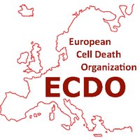 ECDO(@ECDOorg) 's Twitter Profile Photo