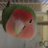 さくちゃんのアイコン
