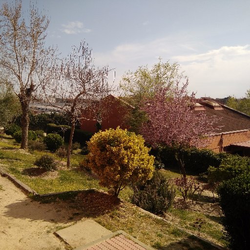 SectionMairena's profile picture. 