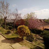 IES Juan de Mairena (@sectionmairena) 's Twitter Profile