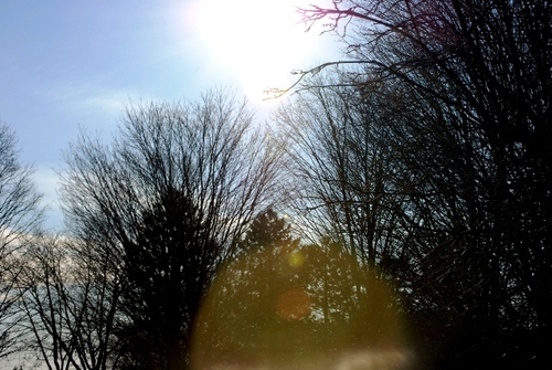 sarahjmc's profile picture. I’ve had Twitter since it launched but have tweeted less than 5 times. Follow at your own risk 😴😴😴