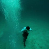 Tom Forest (@tomforestmusic) 's Twitter Profile