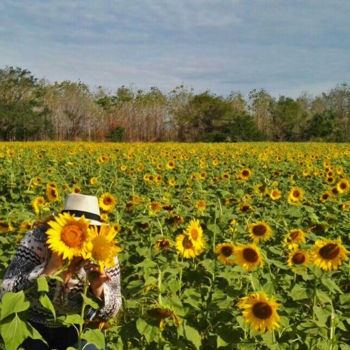 Maaariaaangel's profile picture. 02