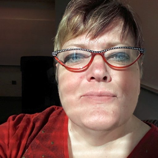 Literary fiction writer, professor, Southerner living in Jersey, pet owner, not street smart but trailer park smart. Artwork on my page is my husband's.