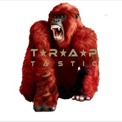 Traptastic Profile