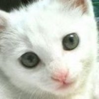 マリ (@marianne_1223) Twitter profile photo