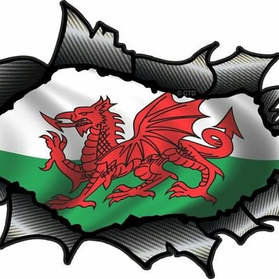 Price5Les's profile picture. Old Croespenmaen boy living with the enemy in England !
My boys Owyn and Gethin carrying the flag back in the homeland 🏈🏈