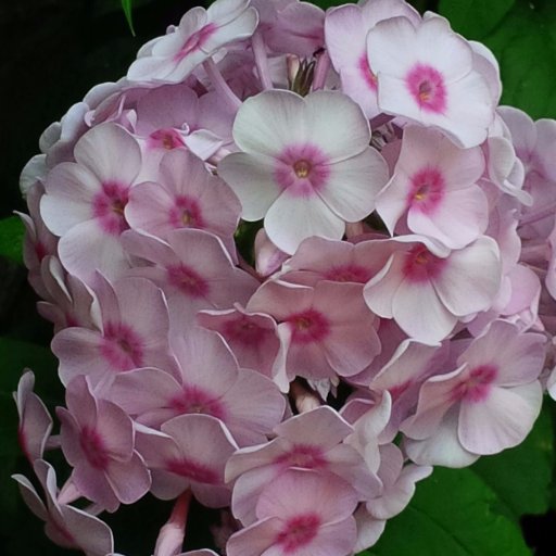 KimberlyBungay's profile picture. 