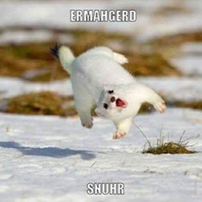 ZBurchard's profile picture. I like anime, video games (Tom Clancy's Rainbow Six Siege for instance), freestyle soccer, ultimate frisbee, and God.