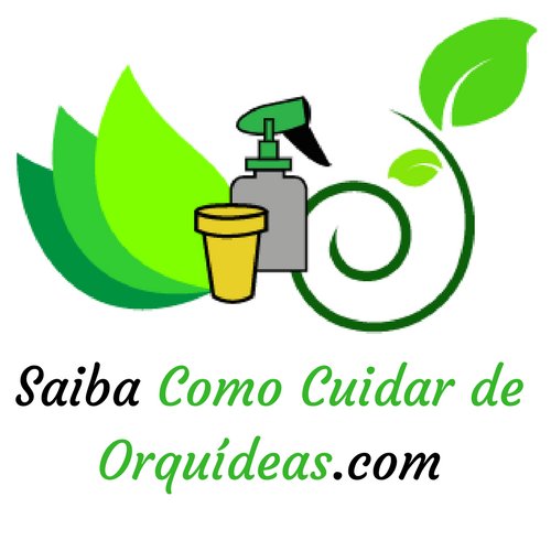 Como Cuidar de Orquídeas