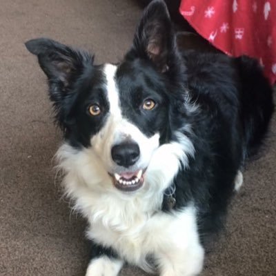 nicola_ann's profile picture. 