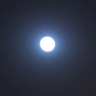الأخبار