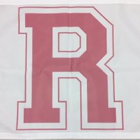Rossville Hornets WBB (@bballladyhornet) 's Twitter Profile