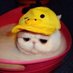 Sam (@samuelpoopface) Twitter profile photo Sam (@samuelpoopface) Twitter profile photo