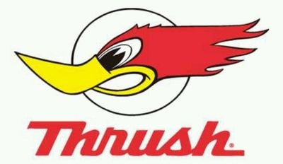 HushThrush's profile picture. People create a lot of their own
 problems.
professional smart-ass.
Optimist.
Realist.
I will NEVER ask for a follow.
Follow me only if you want to.