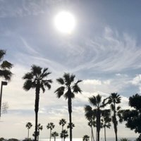 Eric Lin (@ek_lin) 's Twitter Profile