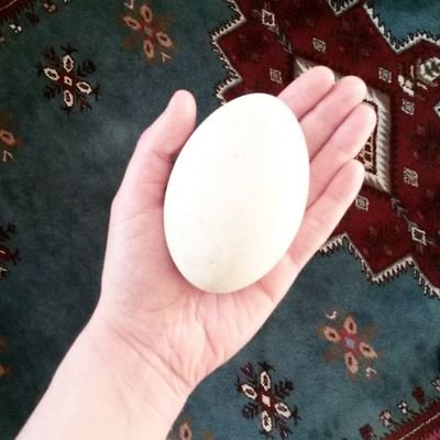 anoktaserra's profile picture. elimde tiviti, bacak bacak üstüne....