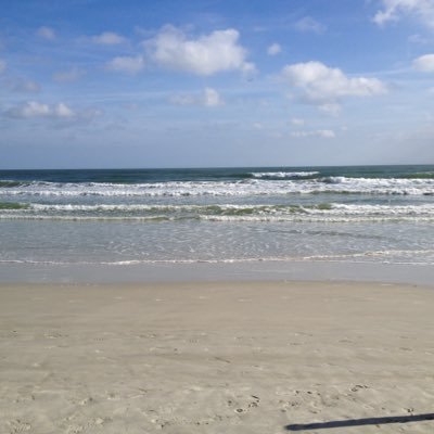 scarecrow3968's profile picture. A true patriot digging for truth since ‘98.  barry_dwyer@ymail.com