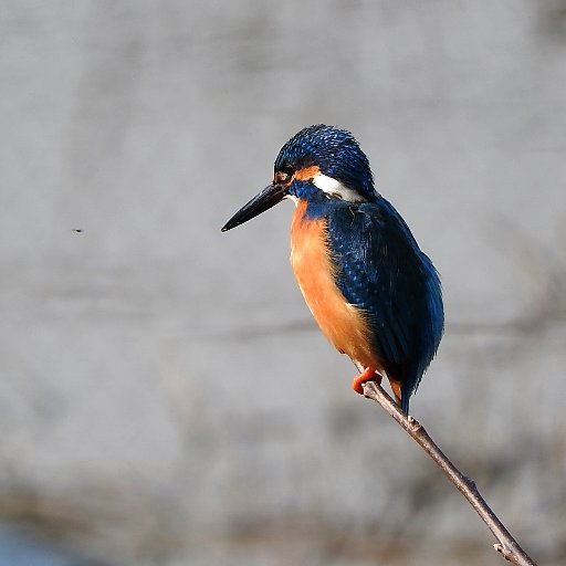 ms0630keiko3's profile picture. ２０１９年１月２日。また１年のスタートでもある。世界はどのように変化していくのだろうか。変化しないものはないのだから、あとは何を選択するかだ。愚か者の運命は破滅しかない。ポイント・オブ・ノーリターンがあることを忘れてはならない。