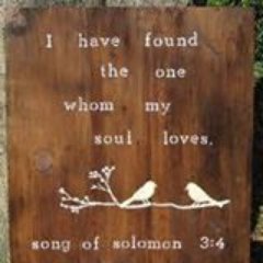 JosieTaveras's profile picture. 