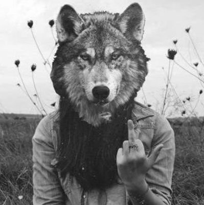 Farkmarx81's profile picture. Random spirals of thought provoking b.s. and a healthy dose of reality. Ever the skeptic and always a smartass. Wake up. Its good to be alive. Media&Hyperbole