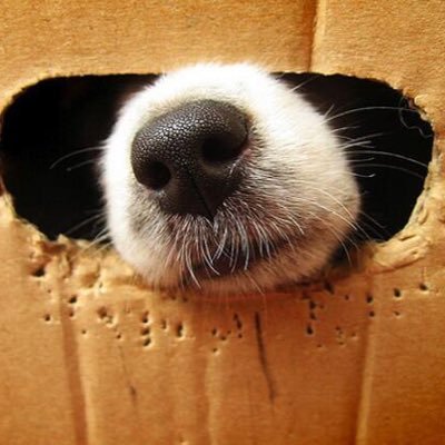 穏やかに。。。
