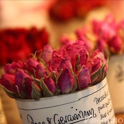 noufakk6's profile picture. 