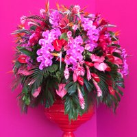 RVH Floral Design (@rvhfloraldesign) 's Twitter Profile