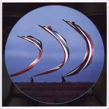 SayDavid's profile picture. 