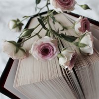 أقهى (@debutbooks) Twitter profile photo