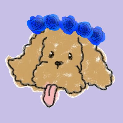ざらめさんのプロフィール画像