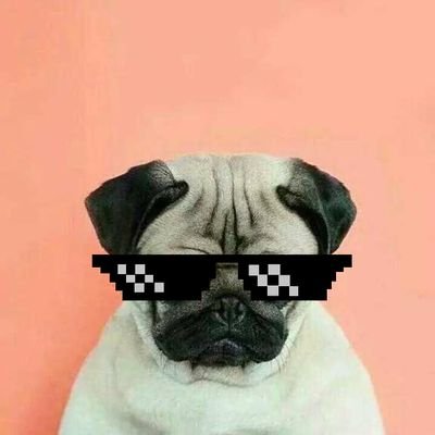 woshizhizhang00's profile picture. 遊戲