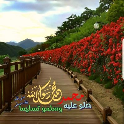 amaannyy12's profile picture. ‏‏‏صلوا على جمّيل الوجه ، ⚘و بدرُ التمام 🍃
 شفيع الخلق في يوم الزحام💎
 صل الله على نبينا مُحمد ﷺ 💕