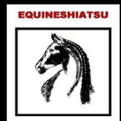 I wrote the book  EQUINESHIATSU.    Smart people are reading it.    Your horse is hoping you do too!!    Be Sure To Read It