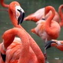 Thalia Wilson - @thaliawilson131 - Twitter