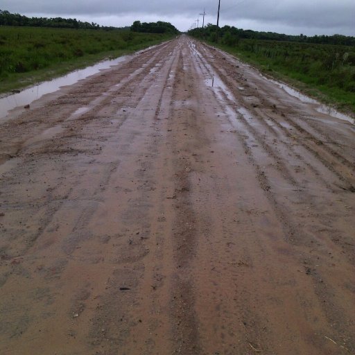 atiliomendieta's profile picture. 