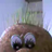 joseary15's profile image
