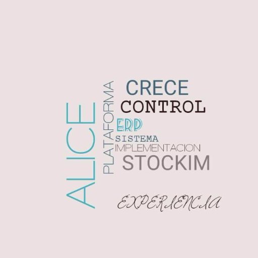 Somos una empresa con 17 años de experiencia en el mercado, dedicada al desarrollo Tecnológico de Sistemas Empresariales
